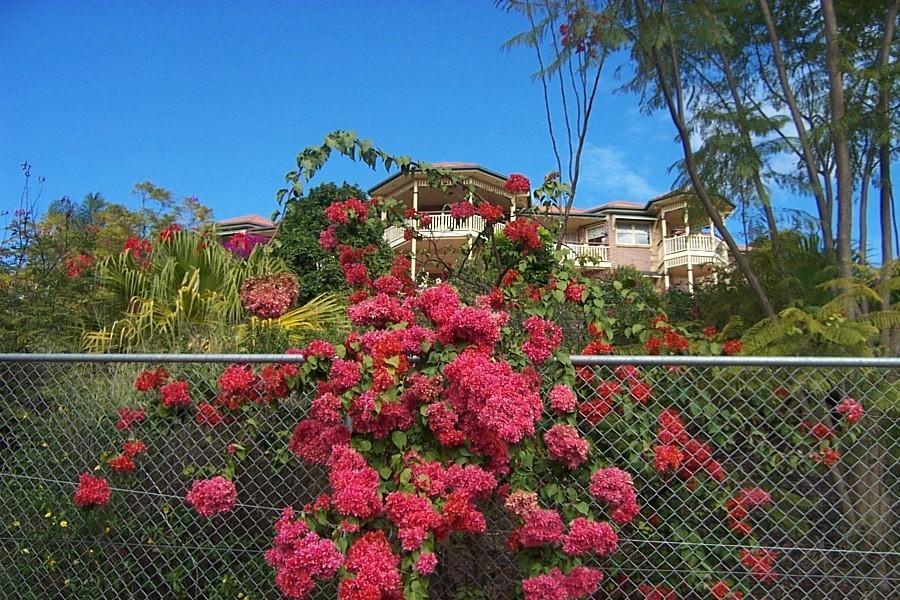 Ormeau Tranquil Garden Hideaway 아파트 외부 사진